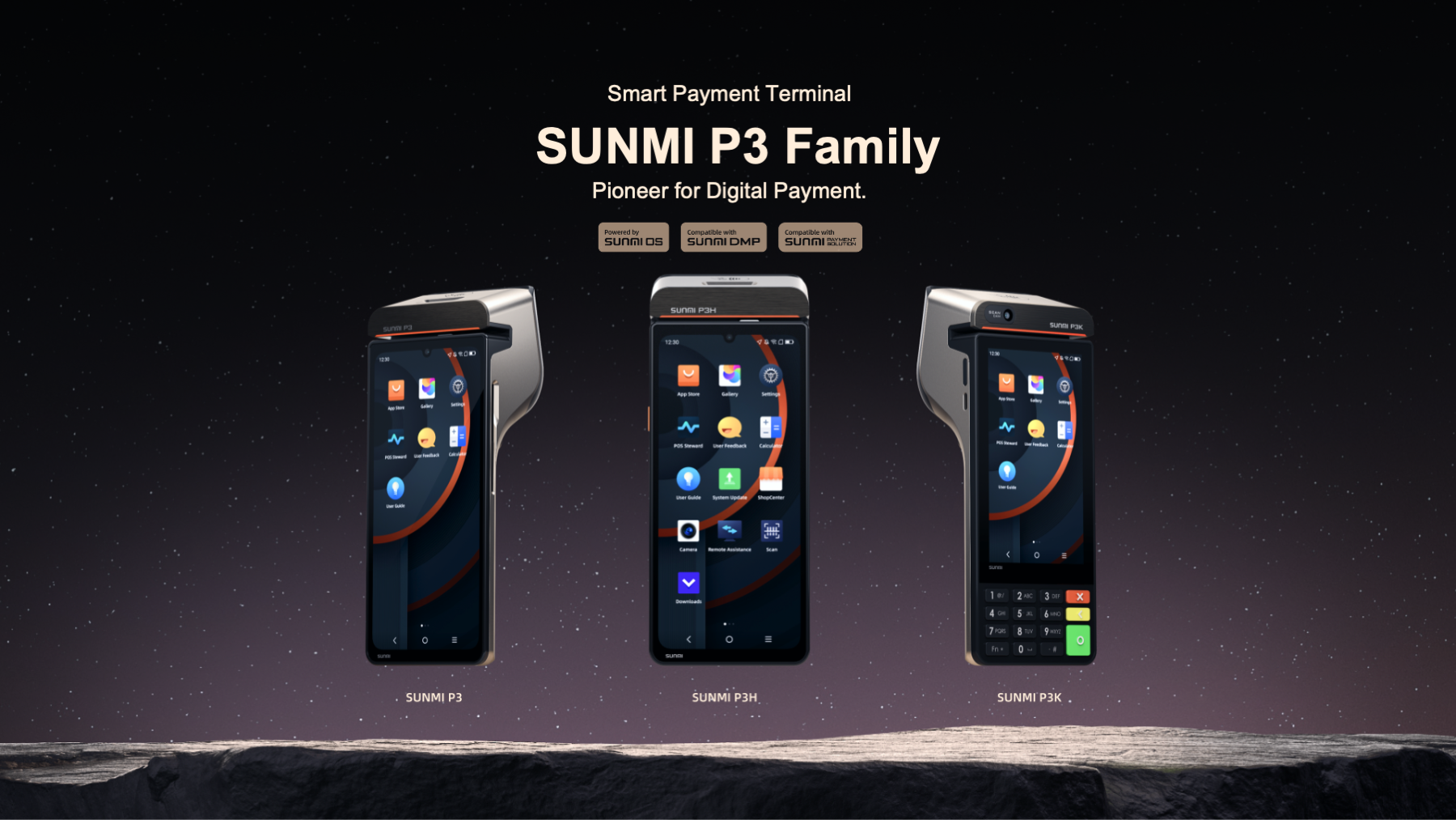 P3 Family